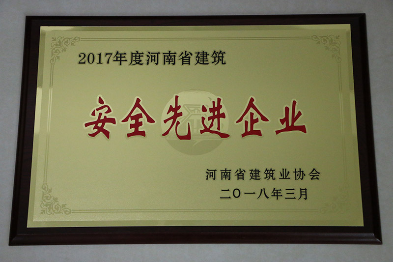 2017ȺʡȫȽҵ